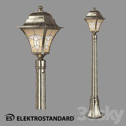 Street lighting - OM Street lamp on a pole Elektrostandard Altair F 