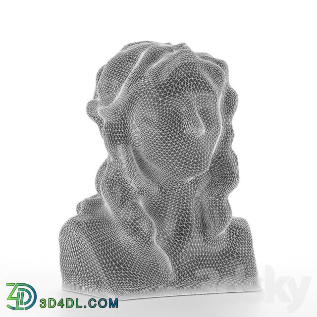 Sculpture - Simple Woman Head _statue_