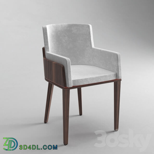 Chair - Cator dining chair