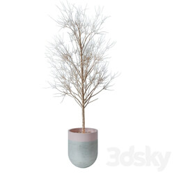 Indoor - Decorative tree 