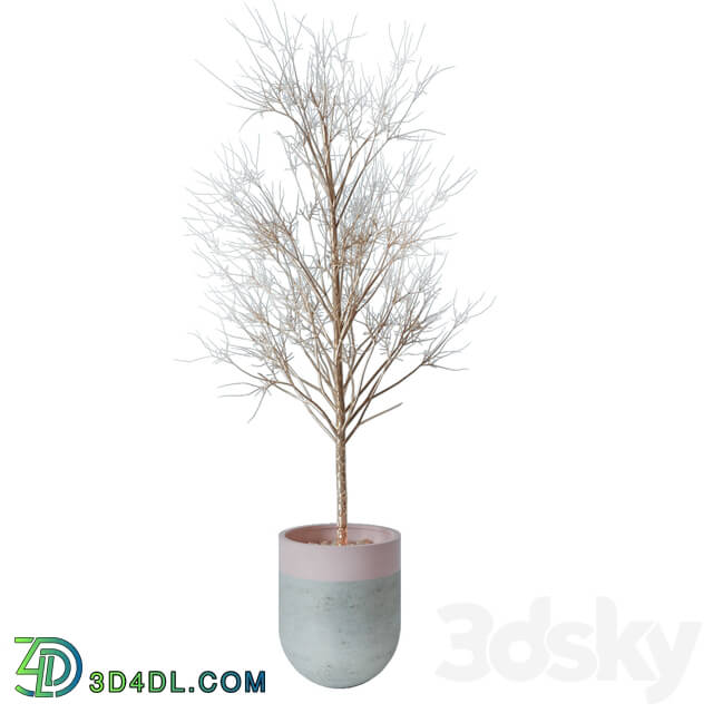 Indoor - Decorative tree