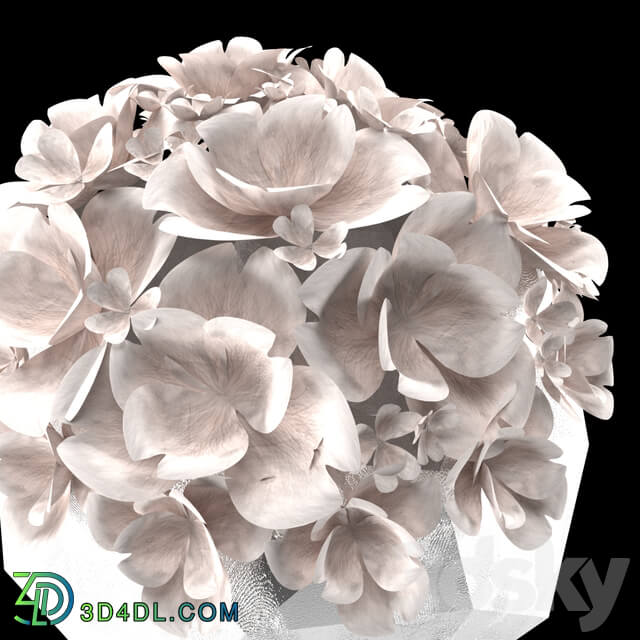 Decorative set - white flowers and vases