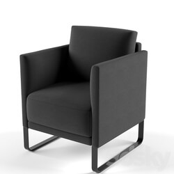 Arm chair - Rolf Benz 009 Cara _ Sled Base Armchair 