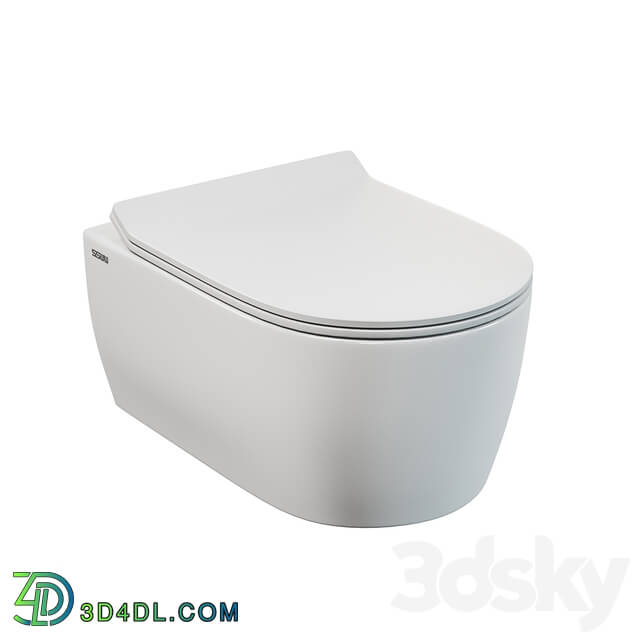 Toilet and Bidet - SSWW CT2063 wall hung toilet