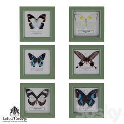 Frame - Butterflies in the frame _Loft concept_ 