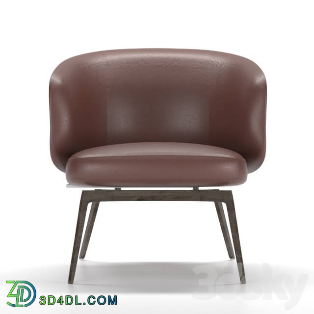 Arm chair - loung chair