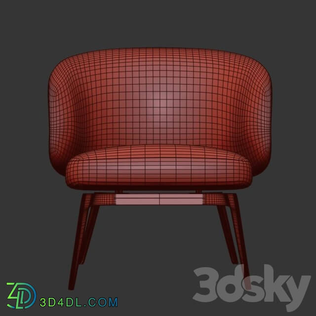 Arm chair - loung chair