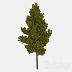 Tree - Realistic Trees 
