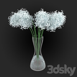 Bouquet - Chrysanthemum white flower 