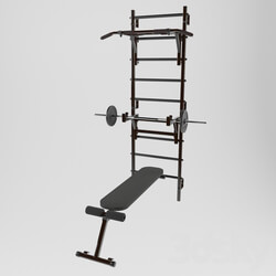 Sports - Swedish wall with bench and barbell 