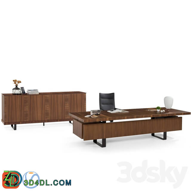 Office furniture - KOLEKSIYON GAZEL EXECUTIVE DESK _ CONSOLE CABINET