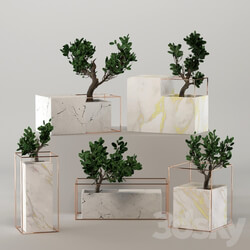Indoor - Marble flower pot collection 