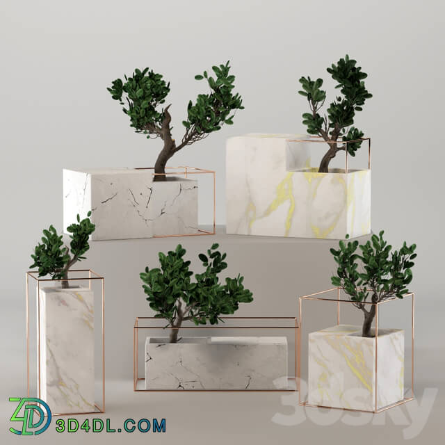 Indoor - Marble flower pot collection