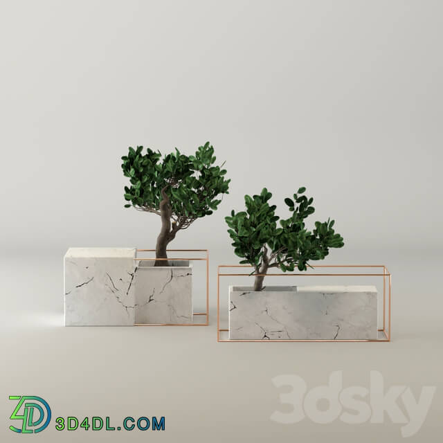 Indoor - Marble flower pot collection