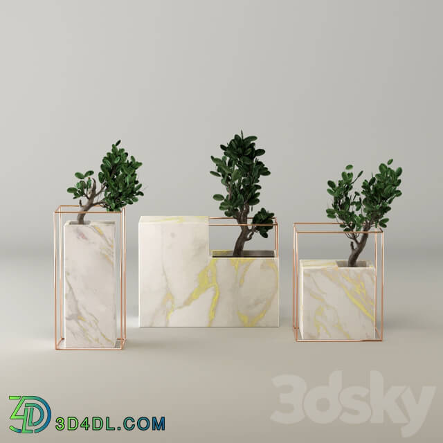 Indoor - Marble flower pot collection