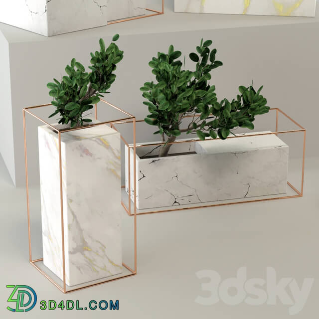 Indoor - Marble flower pot collection