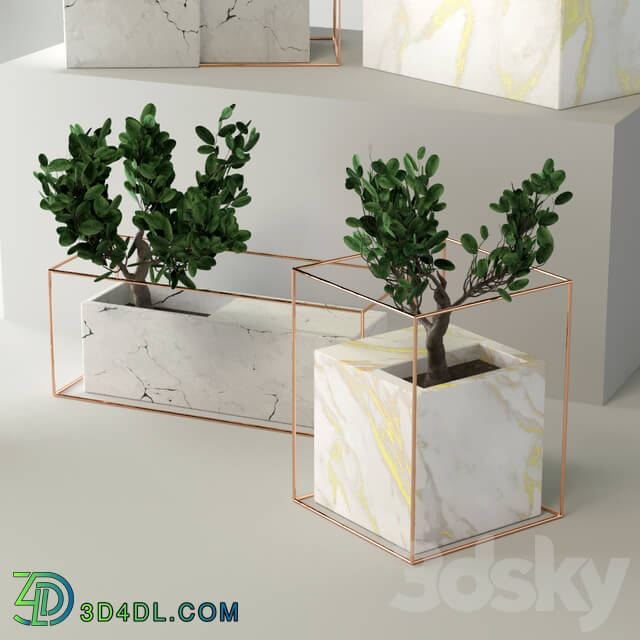 Indoor - Marble flower pot collection