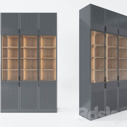 Wardrobe _ Display cabinets - modern cabinet 