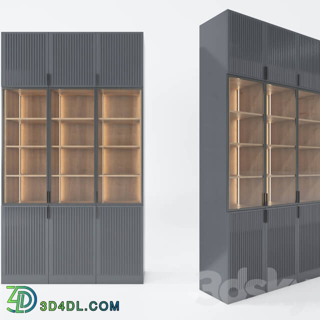 Wardrobe _ Display cabinets - modern cabinet
