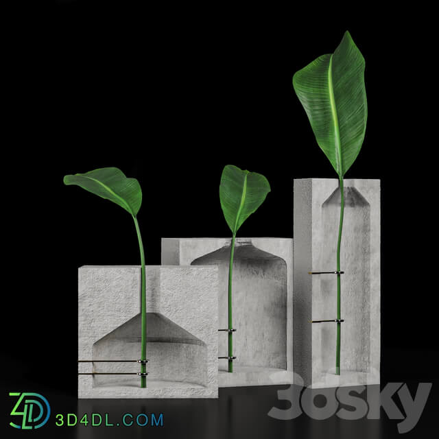 Other decorative objects - Decore plant