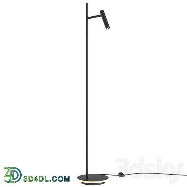 Floor lamp - Floor lamp Maytoni Estudo Z010FL-L8B3K