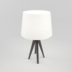 Table lamp - Table lamp Arte Lamp Easy A4504LT-1BR 