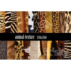 Fabric - animal-texture 