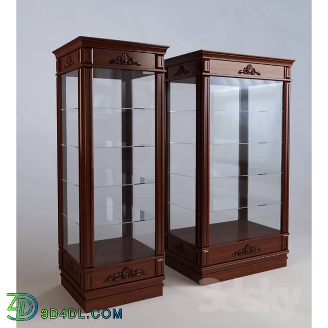 Wardrobe _ Display cabinets - Showcase