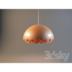 Ceiling light - zero bloom lamp 