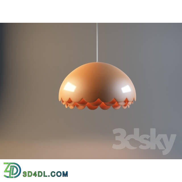 Ceiling light - zero bloom lamp