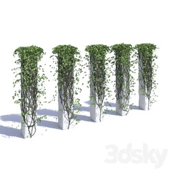 Outdoor - Ivy Collection on Pillars 