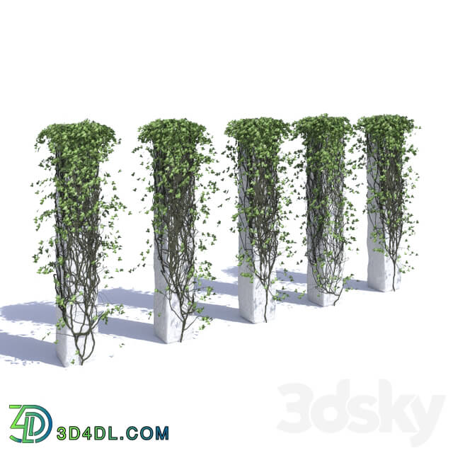 Outdoor - Ivy Collection on Pillars