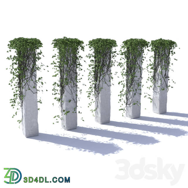 Outdoor - Ivy Collection on Pillars