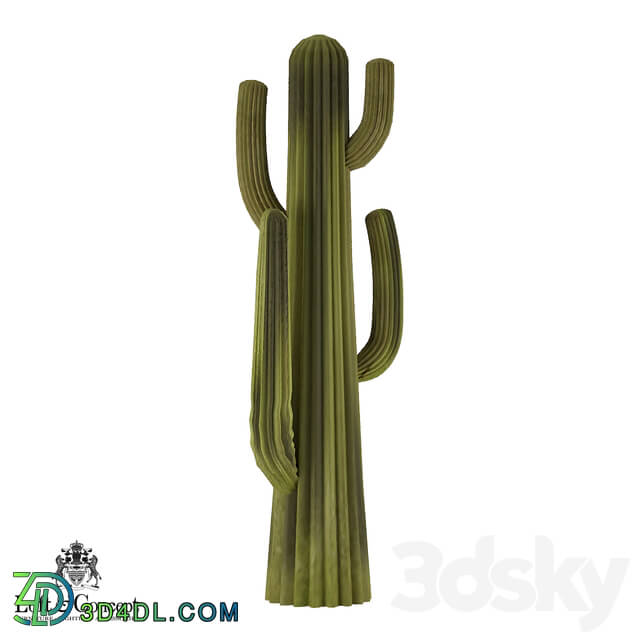 Other decorative objects - Plastic cactus _Loft concept_