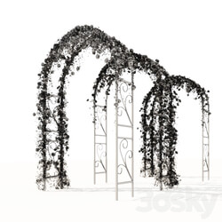Other - Pergola with ivy 
