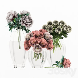 Bouquet - Bouquet of flowers in a vase 