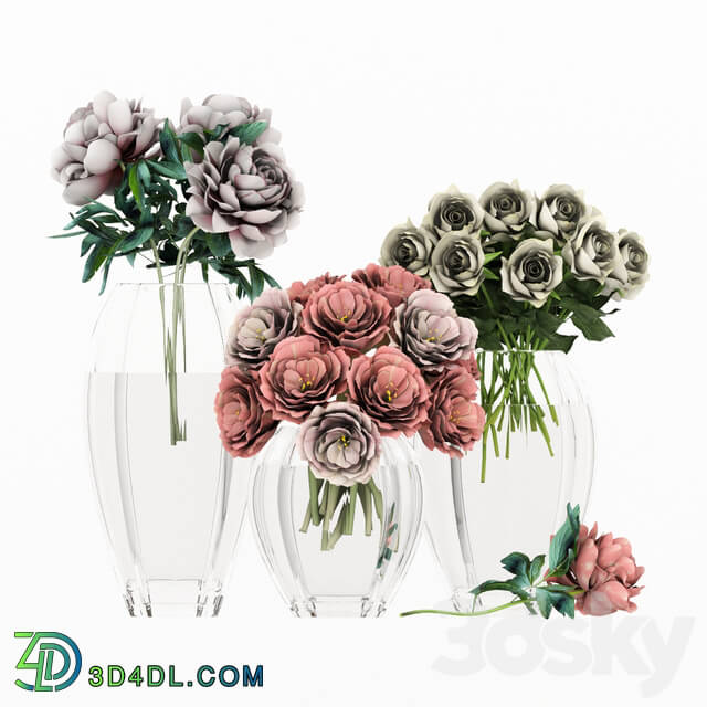 Bouquet - Bouquet of flowers in a vase