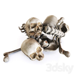 Miscellaneous - Skull Pile 