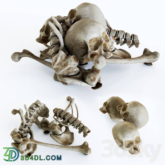 Miscellaneous - Skull Pile