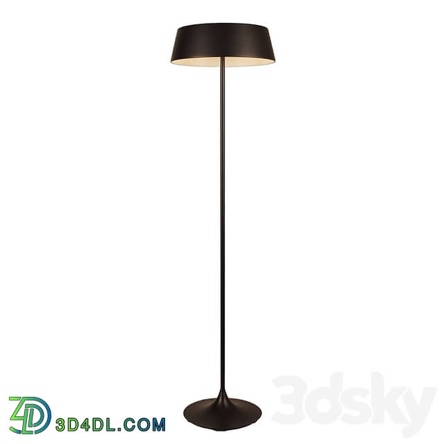 Floor lamp - China Led Floor Lamp Chinese Floor Lamp