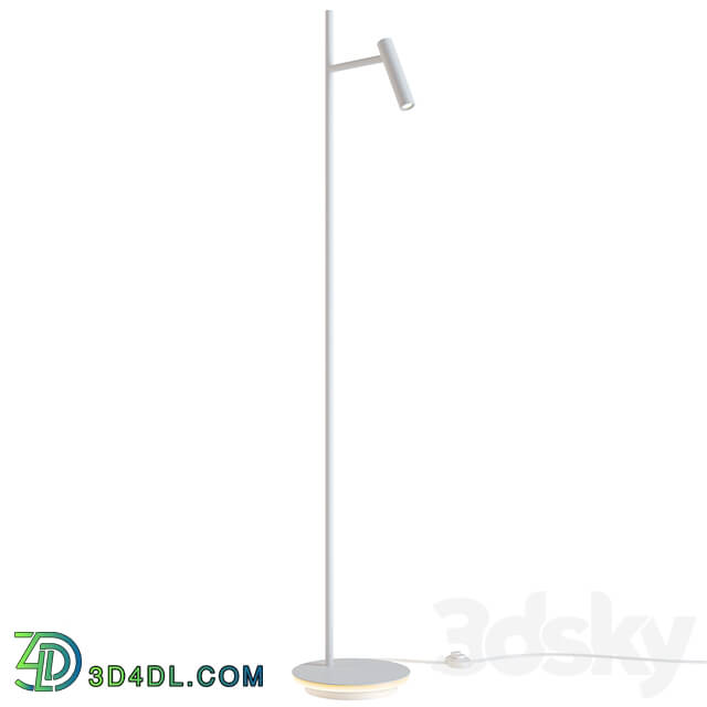 Floor lamp - Floor lamp Maytoni Estudo Z010FL-L8B3K