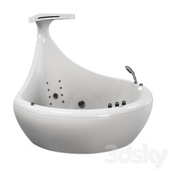 Bathtub - SSWW WHALE acrylic whirlpool bathtub 