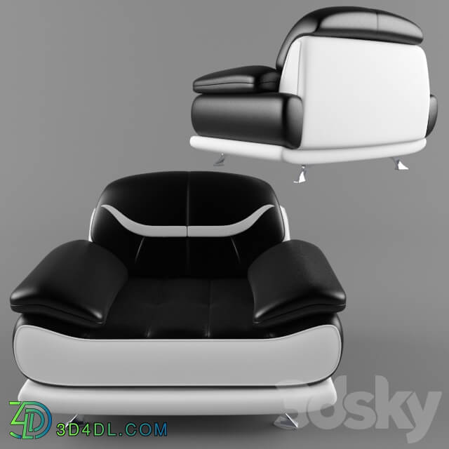 Arm chair - Chair _Bentley Modern Black and White_