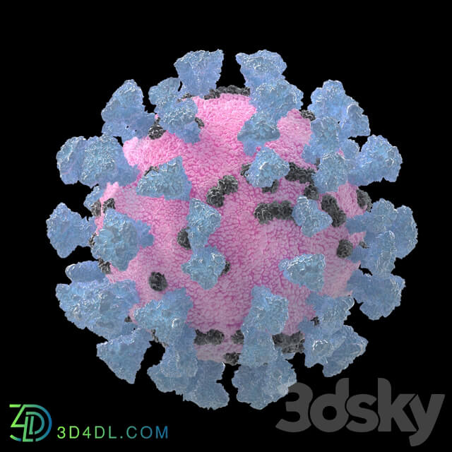 Coronavirus