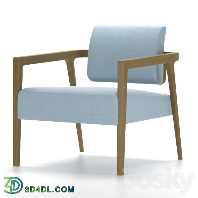 Arm chair - lung chair