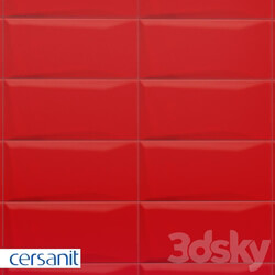 Tile - Tile Cersanit Evolution red relief 20x44 EVG412 