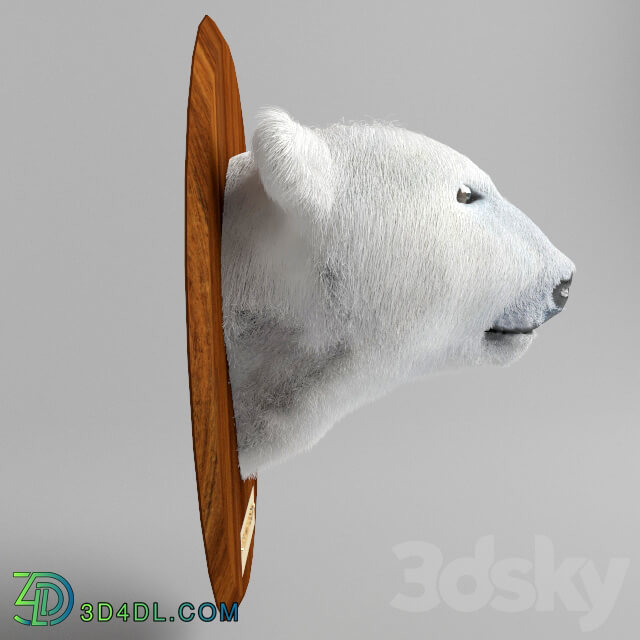 Other decorative objects - Polar bear