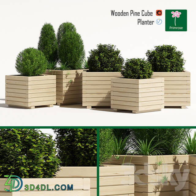 Plant - Cube planter