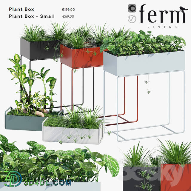 Plant - Fermliving plant box