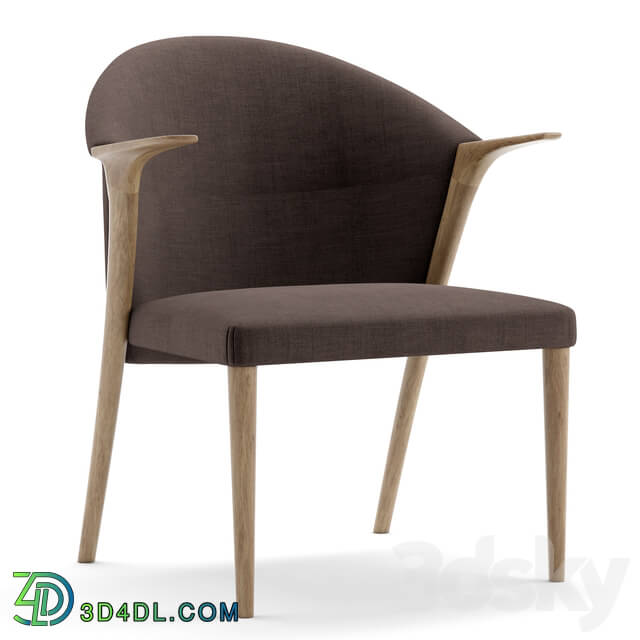 Chair - Dining chair